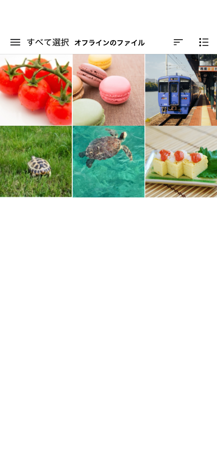 オフラインのファイル