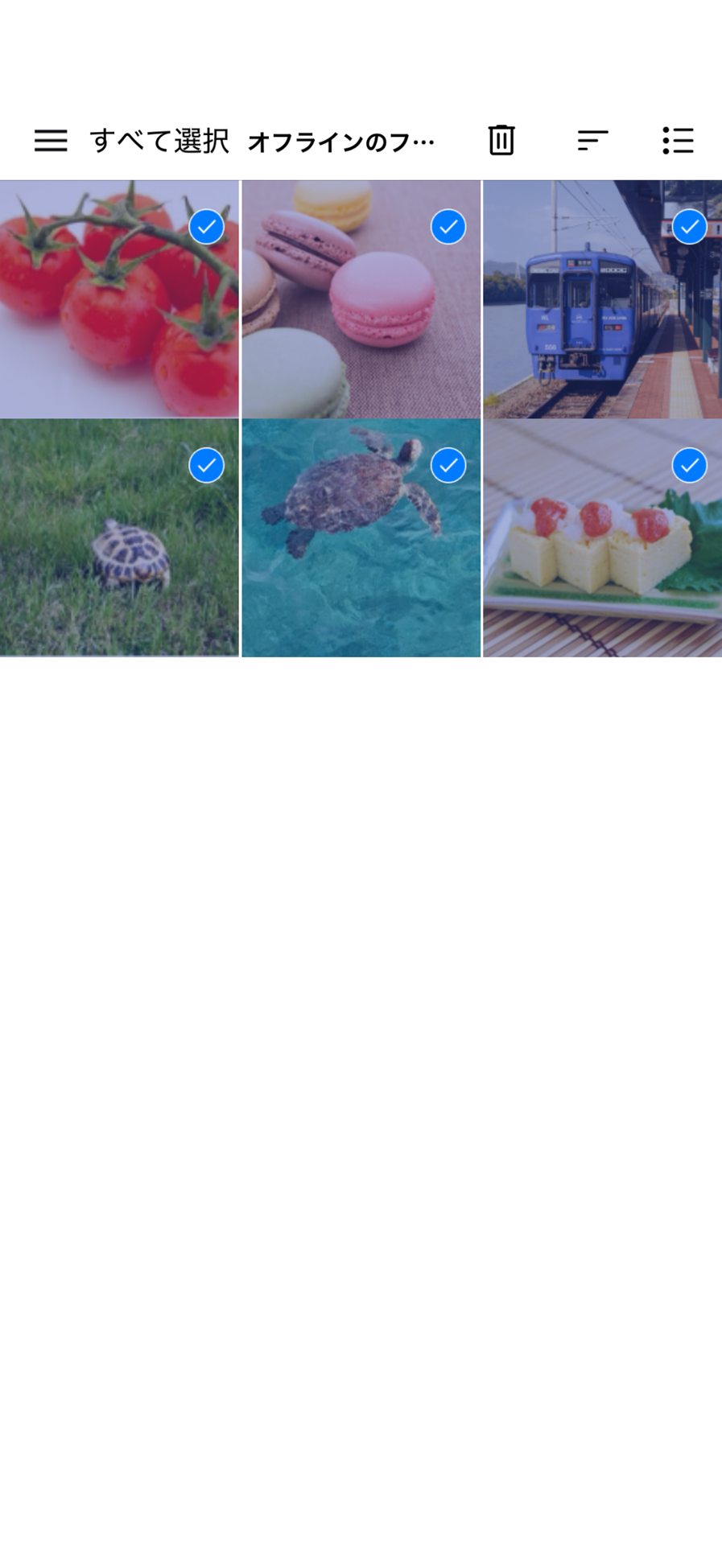 オフラインのファイル